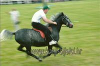 K.bijelci - teklicko jahanje